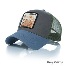 Load image into Gallery viewer, Fashion Mesh Baseball Hat